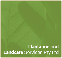 Plantation and Landcare Services (PALS) Logo